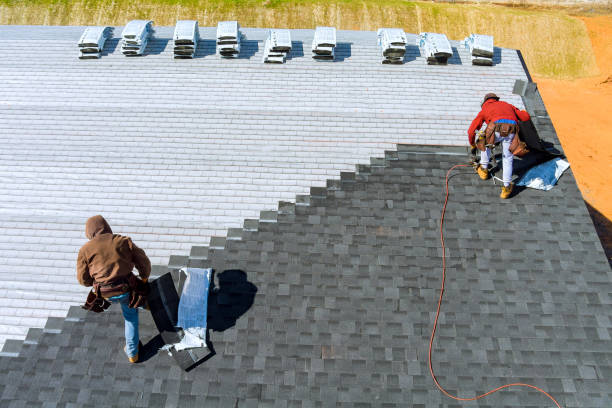 Best Storm Damage Roof Repair  in Winnsboro, TX