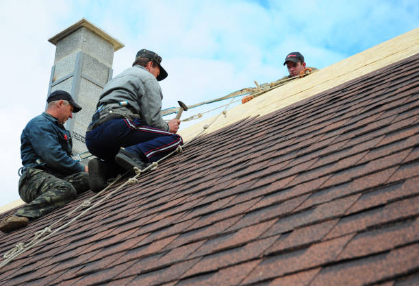 Best Roof Gutter Cleaning  in Winnsboro, TX